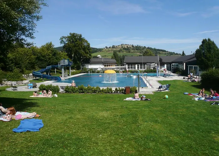 Diemelquelle - Mit Eingezaeuntem Garten Willingen (Upland)