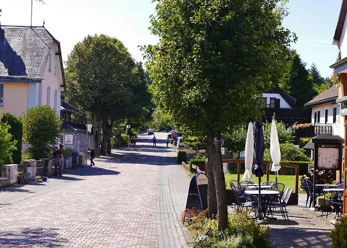 Hébergement de vacances Diemelquelle - Mit Eingezaeuntem Garten Willingen (Upland)