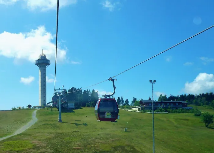 Hébergement de vacances Diemelquelle - Mit Eingezaeuntem Garten Willingen (Upland)