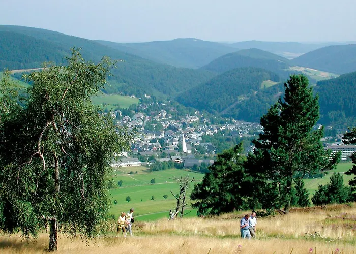Feriehus Diemelquelle - Mit Eingezaeuntem Garten Willingen (Upland)
